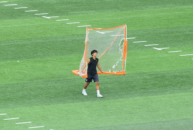 起与传统豪